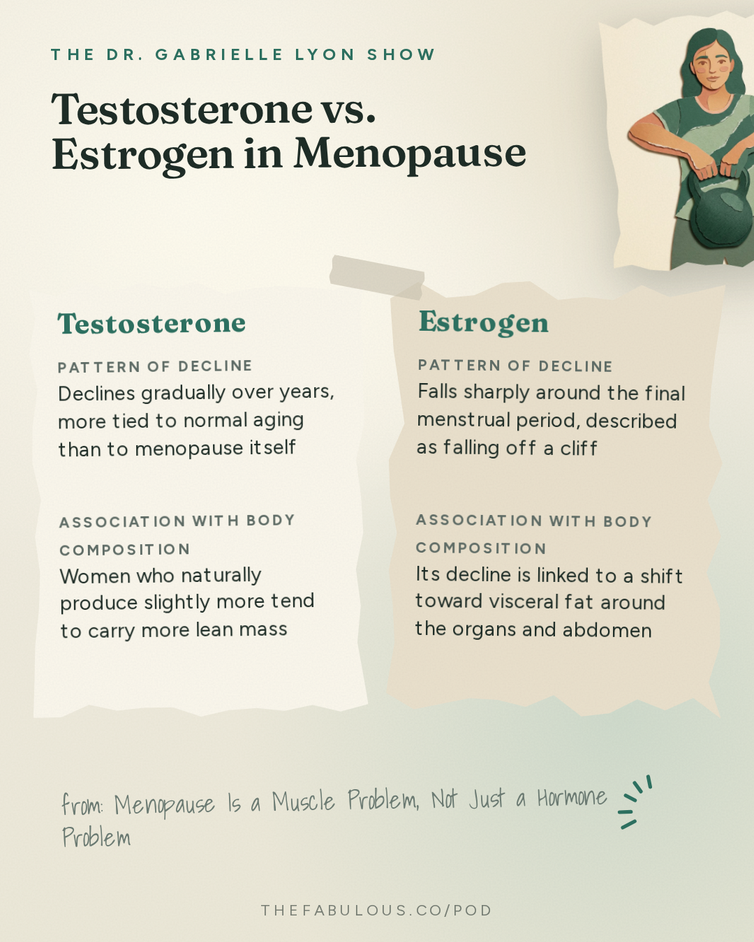 Testosterone vs. Estrogen in Menopause — The Dr. Gabrielle Lyon Show: Menopause Is a Muscle Problem, Not Just a Hormone Problem