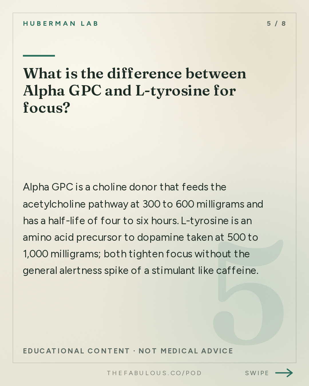What is the difference between Alpha GPC and L-tyrosine for focus? — Huberman Lab: Essentials: Developing a Rational Approach to Supplementation for Health & Performance