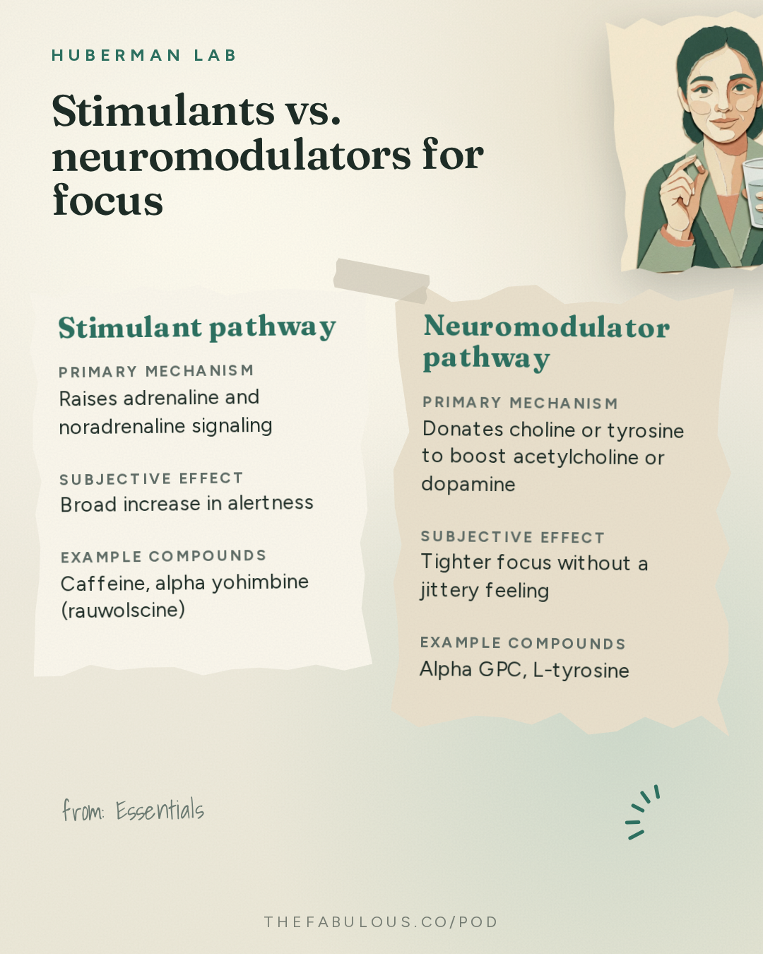 Stimulants vs. neuromodulators for focus — Huberman Lab: Essentials: Developing a Rational Approach to Supplementation for Health & Performance