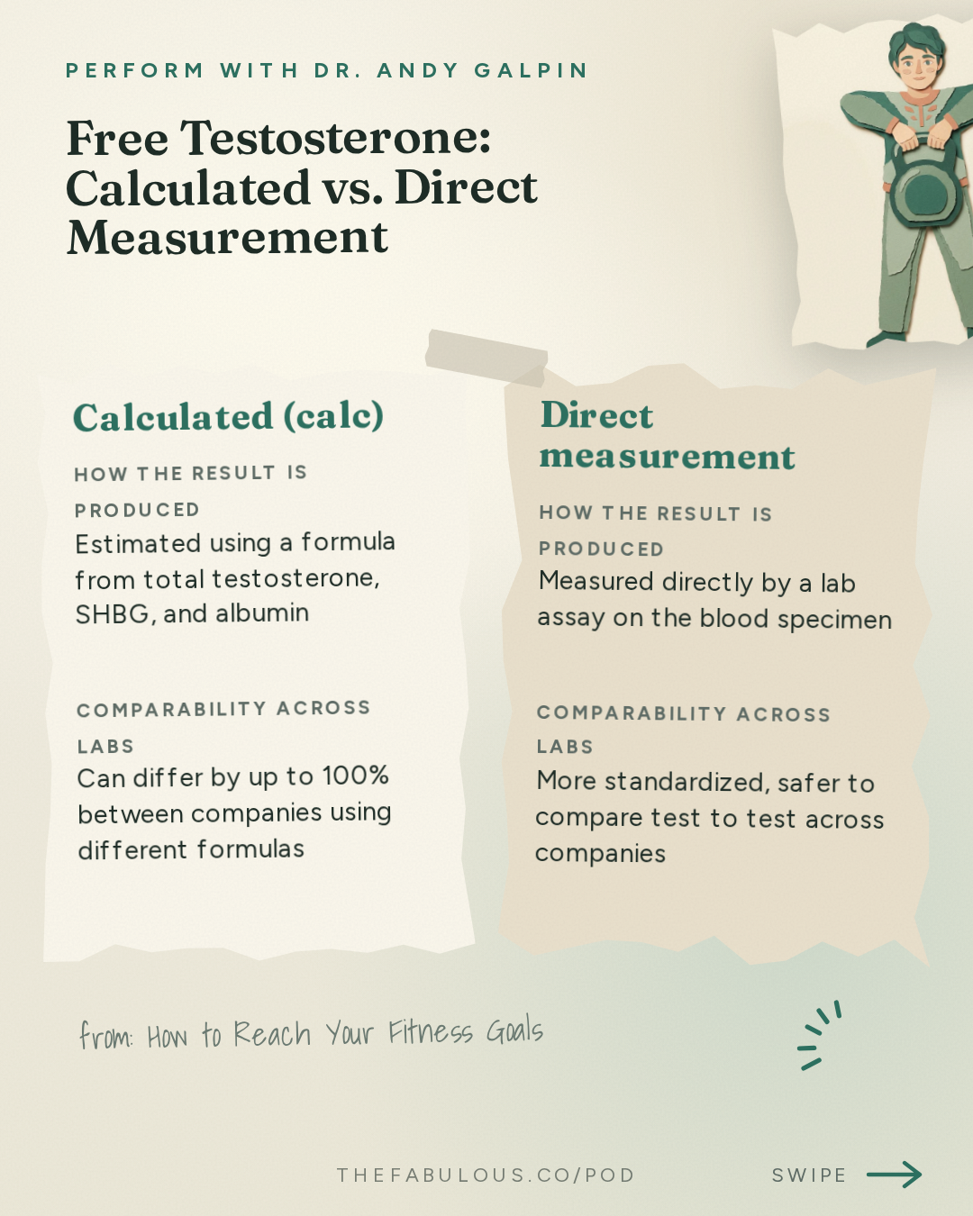 Free Testosterone: Calculated vs. Direct Measurement — Perform with Dr. Andy Galpin: How to Reach Your Fitness Goals (Hard-to-Grow Muscles, Lose Fat, Busy Schedule & More) | Dan Garner