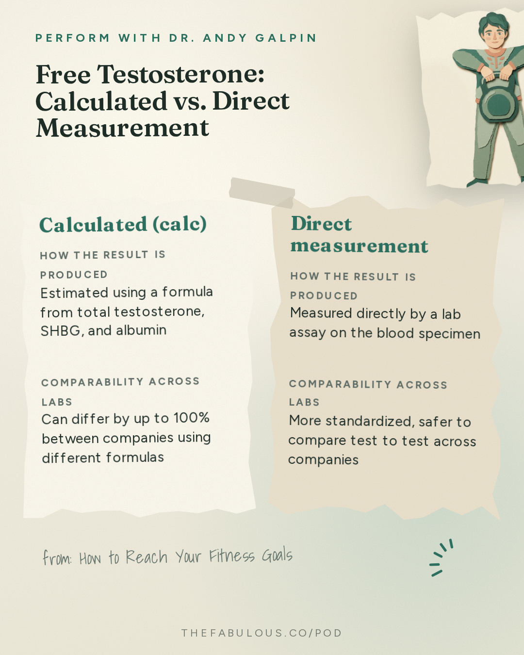 Free Testosterone: Calculated vs. Direct Measurement — Perform with Dr. Andy Galpin: How to Reach Your Fitness Goals (Hard-to-Grow Muscles, Lose Fat, Busy Schedule & More) | Dan Garner