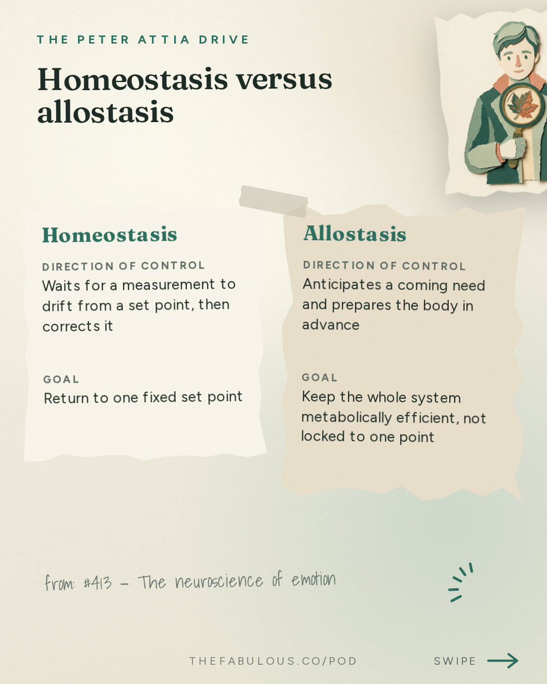 Homeostasis versus allostasis — The Peter Attia Drive: #413 ‒ The neuroscience of emotion: challenging conventional theories of emotion, how the brain predicts and constructs our experiences, and gaining greater control over how we feel | Lisa Feldman Barrett, Ph.D.