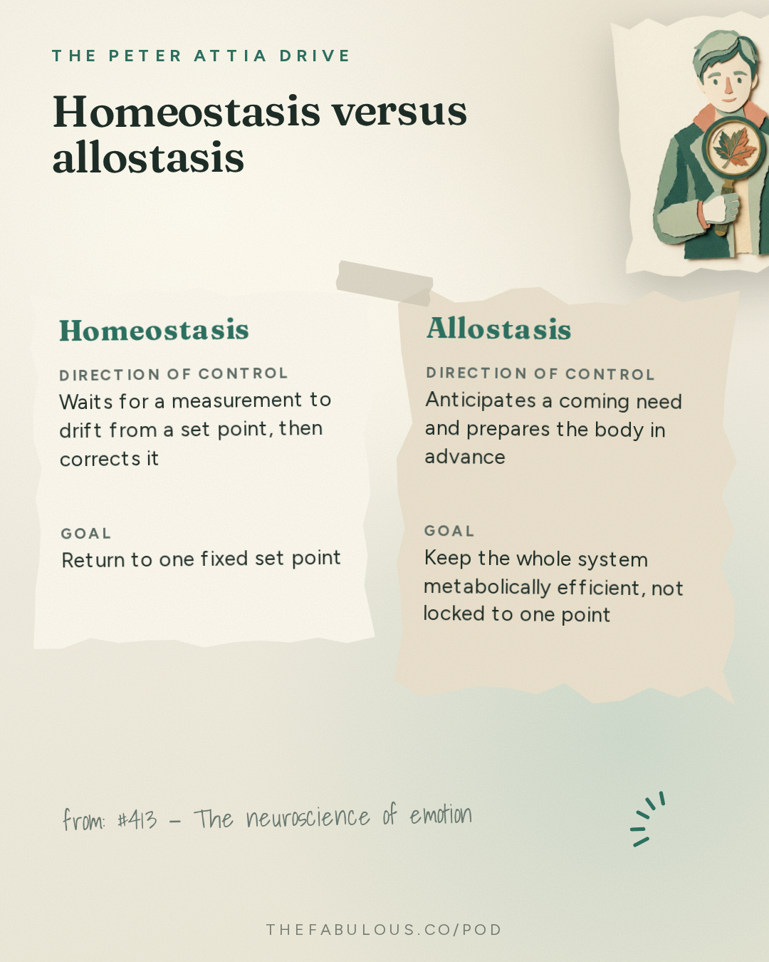 Homeostasis versus allostasis — The Peter Attia Drive: #413 ‒ The neuroscience of emotion: challenging conventional theories of emotion, how the brain predicts and constructs our experiences, and gaining greater control over how we feel | Lisa Feldman Barrett, Ph.D.