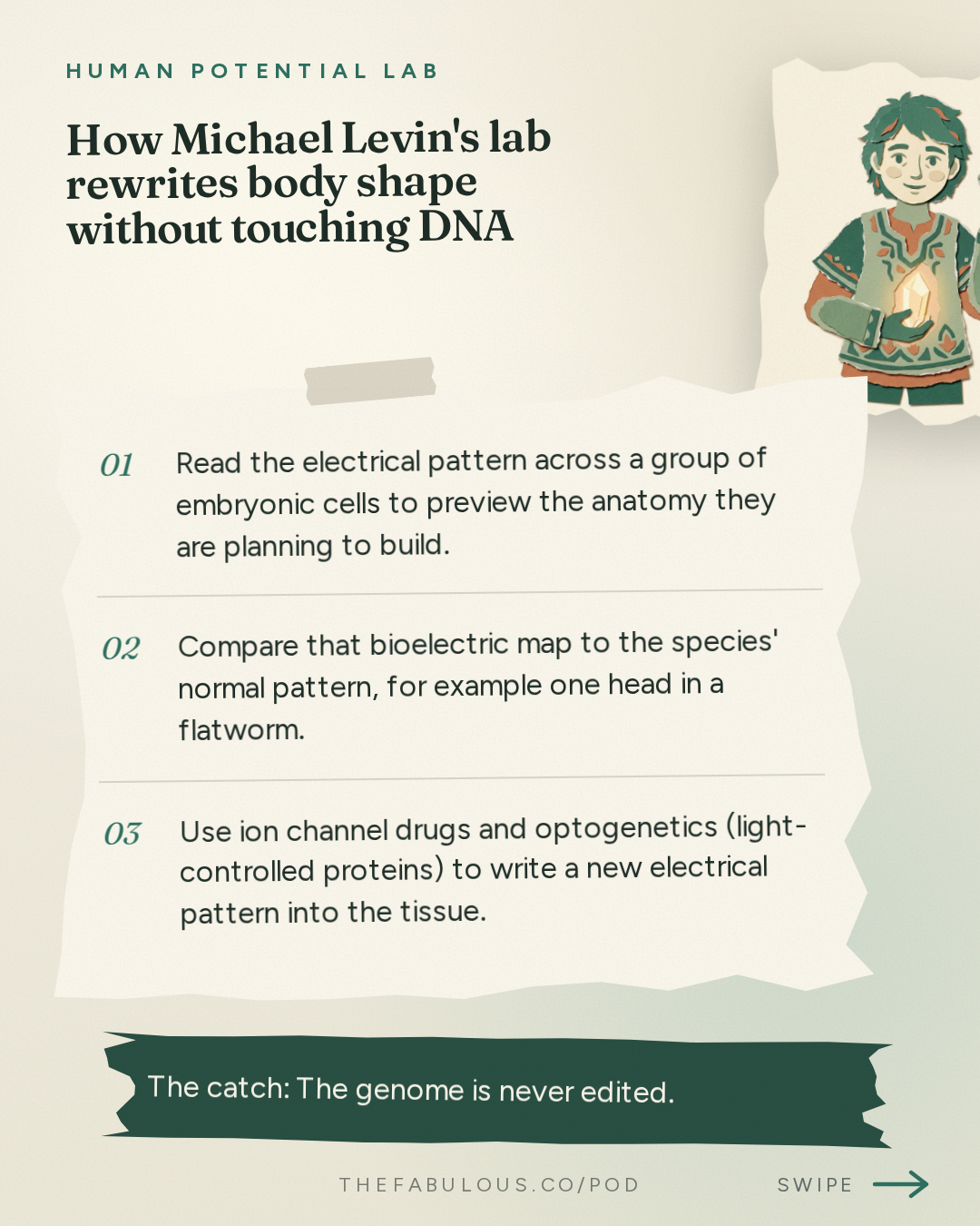 How Michael Levin's lab rewrites body shape without touching DNA — Human Potential Lab: Where Does Genius Come From? | Michael Levin