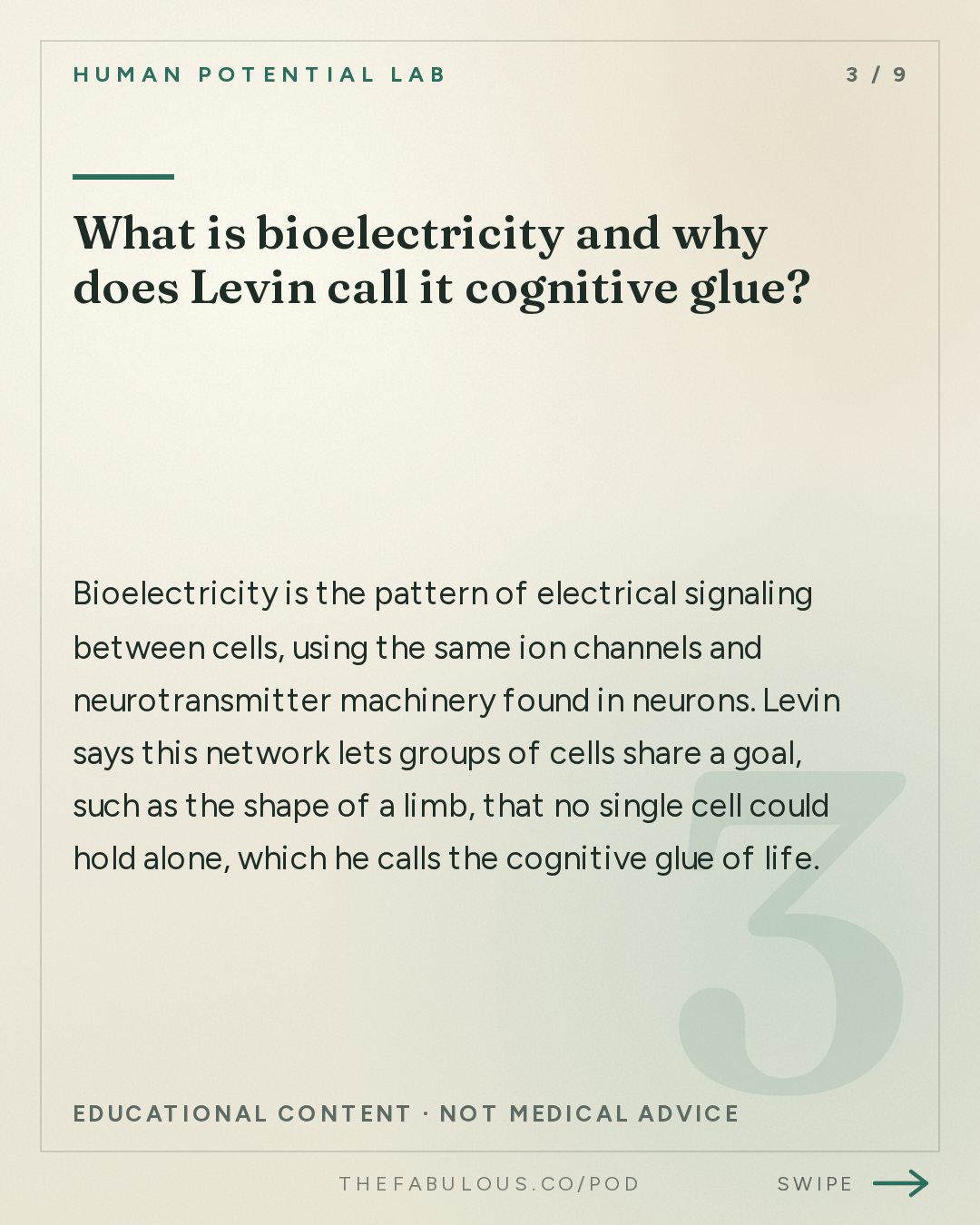 What is bioelectricity and why does Levin call it cognitive glue? — Human Potential Lab: Where Does Genius Come From? | Michael Levin