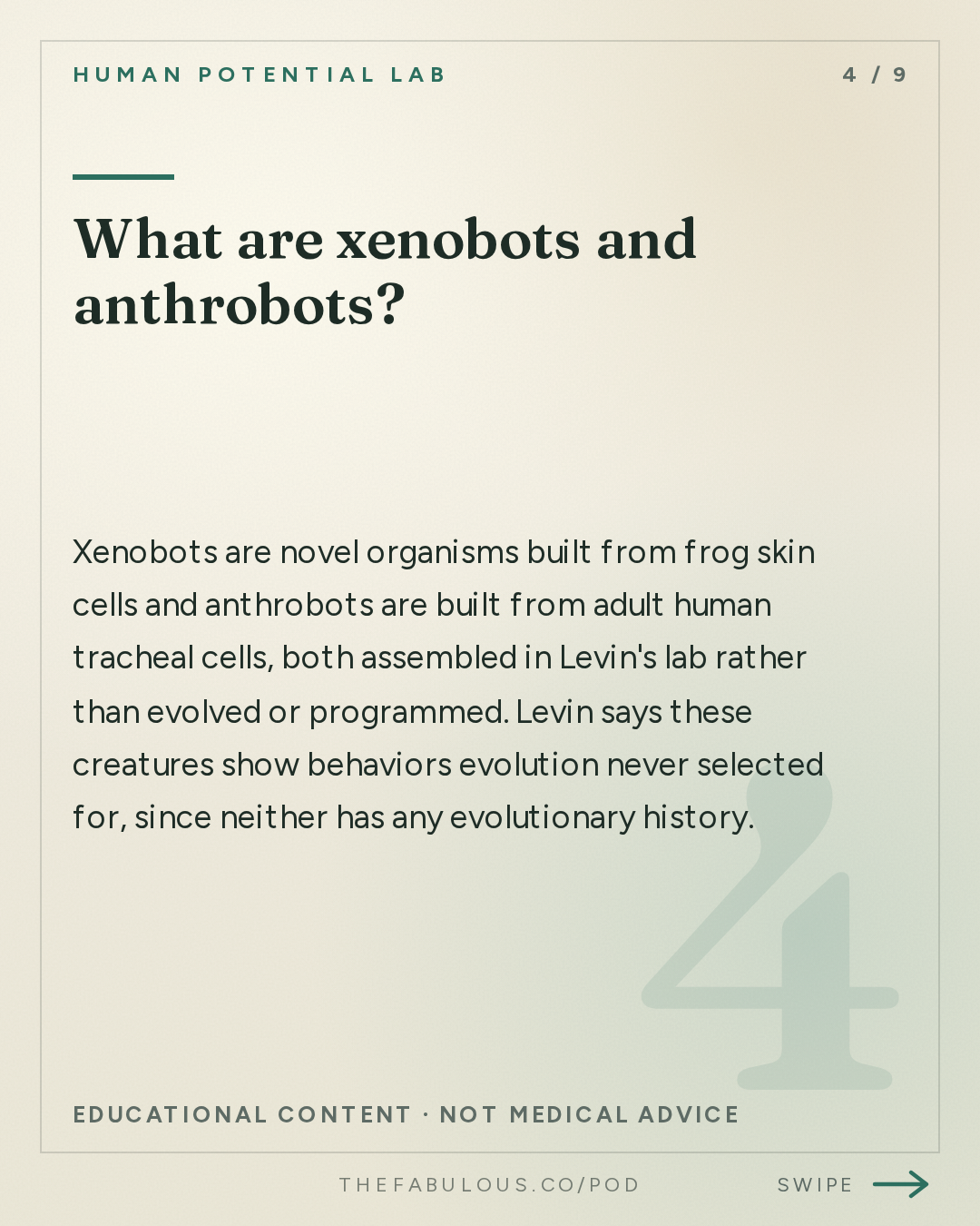 What are xenobots and anthrobots? — Human Potential Lab: Where Does Genius Come From? | Michael Levin