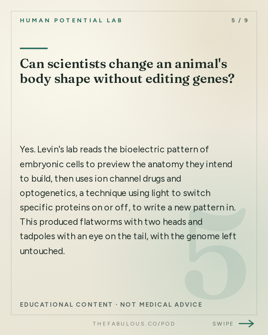 Can scientists change an animal's body shape without editing genes? — Human Potential Lab: Where Does Genius Come From? | Michael Levin