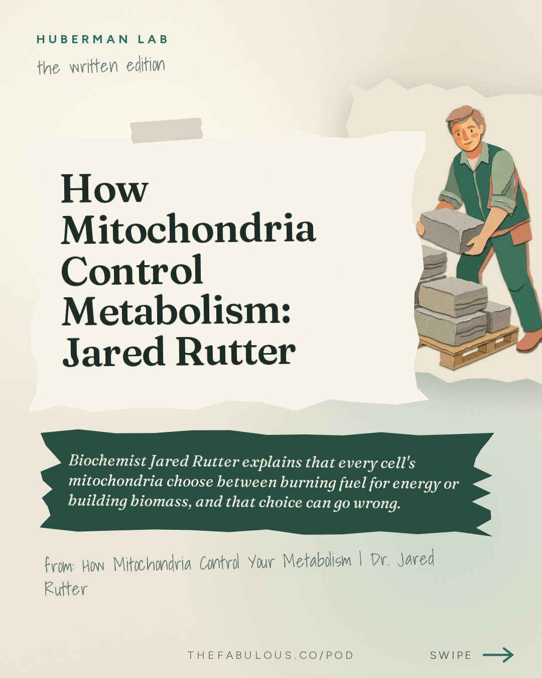How Mitochondria Control Metabolism: Jared Rutter — Huberman Lab: How Mitochondria Control Your Metabolism | Dr. Jared Rutter