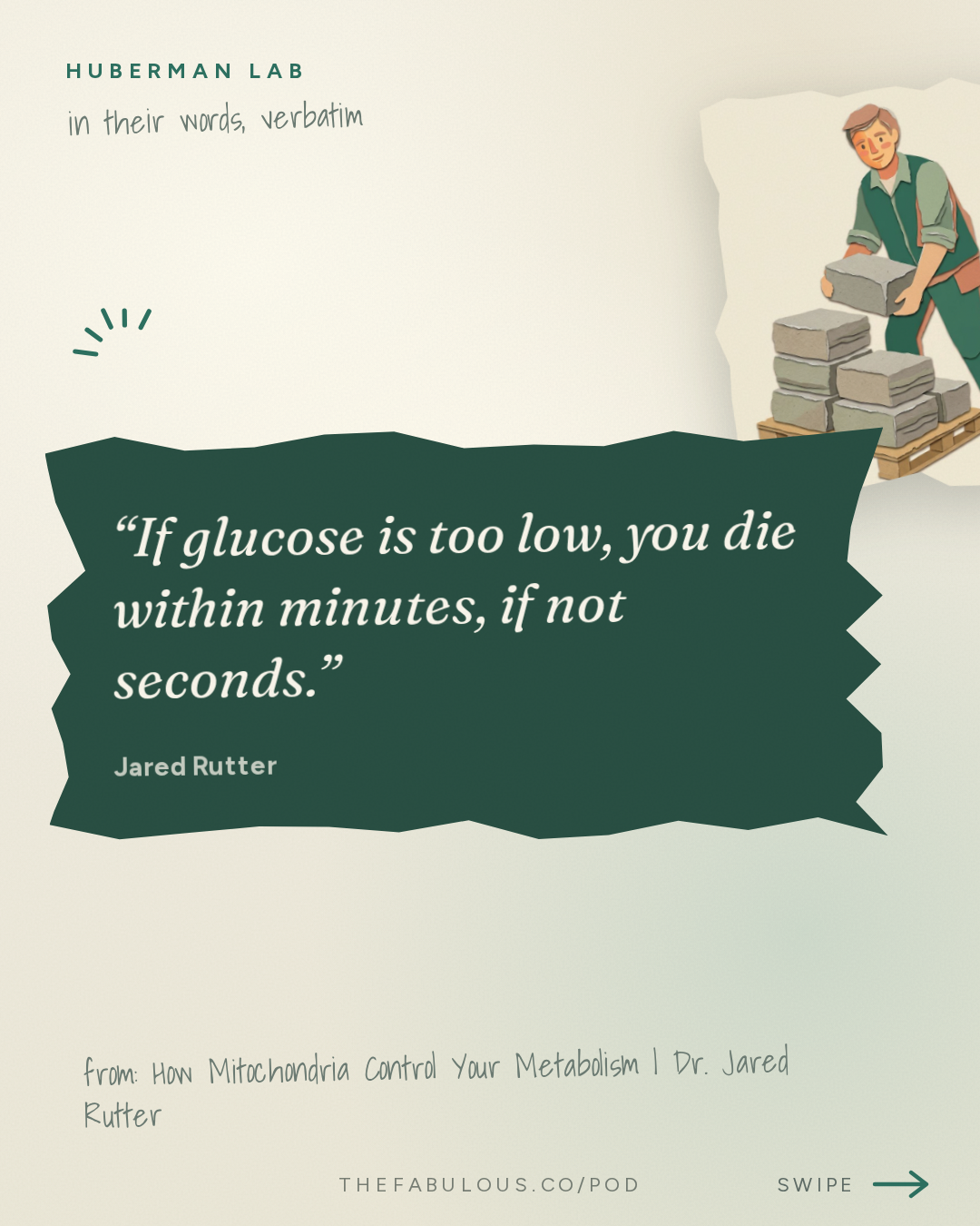 If glucose is too low, you die within minutes, if not seconds. — Huberman Lab: How Mitochondria Control Your Metabolism | Dr. Jared Rutter