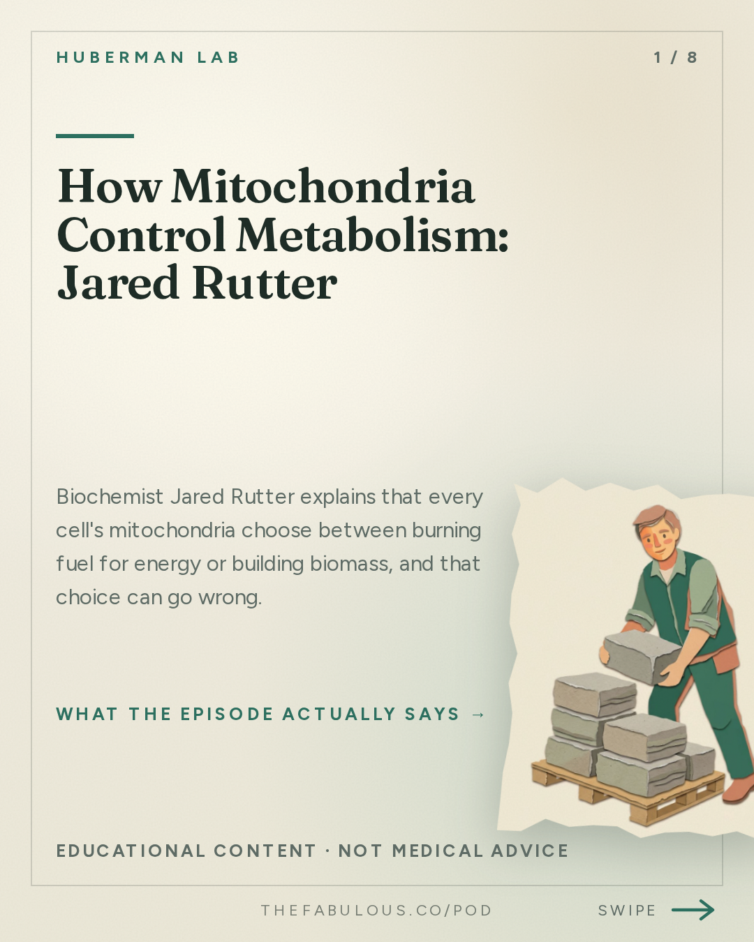 How Mitochondria Control Metabolism: Jared Rutter — Huberman Lab: How Mitochondria Control Your Metabolism | Dr. Jared Rutter