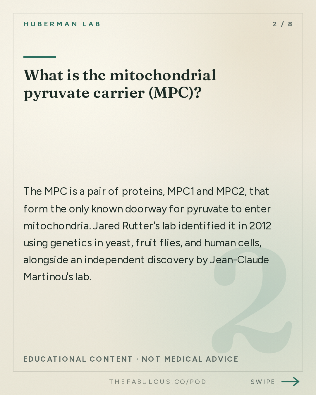 What is the mitochondrial pyruvate carrier (MPC)? — Huberman Lab: How Mitochondria Control Your Metabolism | Dr. Jared Rutter