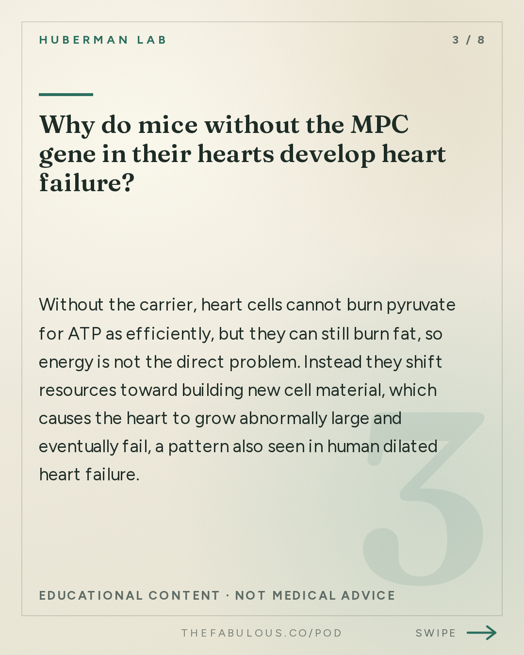 Why do mice without the MPC gene in their hearts develop heart failure? — Huberman Lab: How Mitochondria Control Your Metabolism | Dr. Jared Rutter