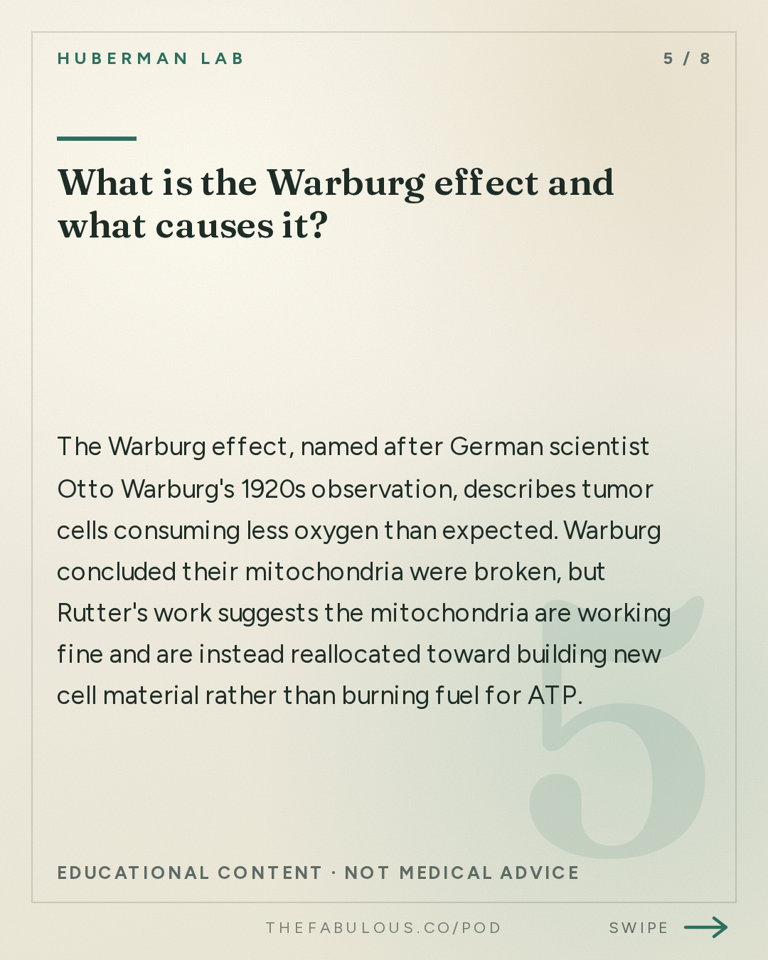 What is the Warburg effect and what causes it? — Huberman Lab: How Mitochondria Control Your Metabolism | Dr. Jared Rutter