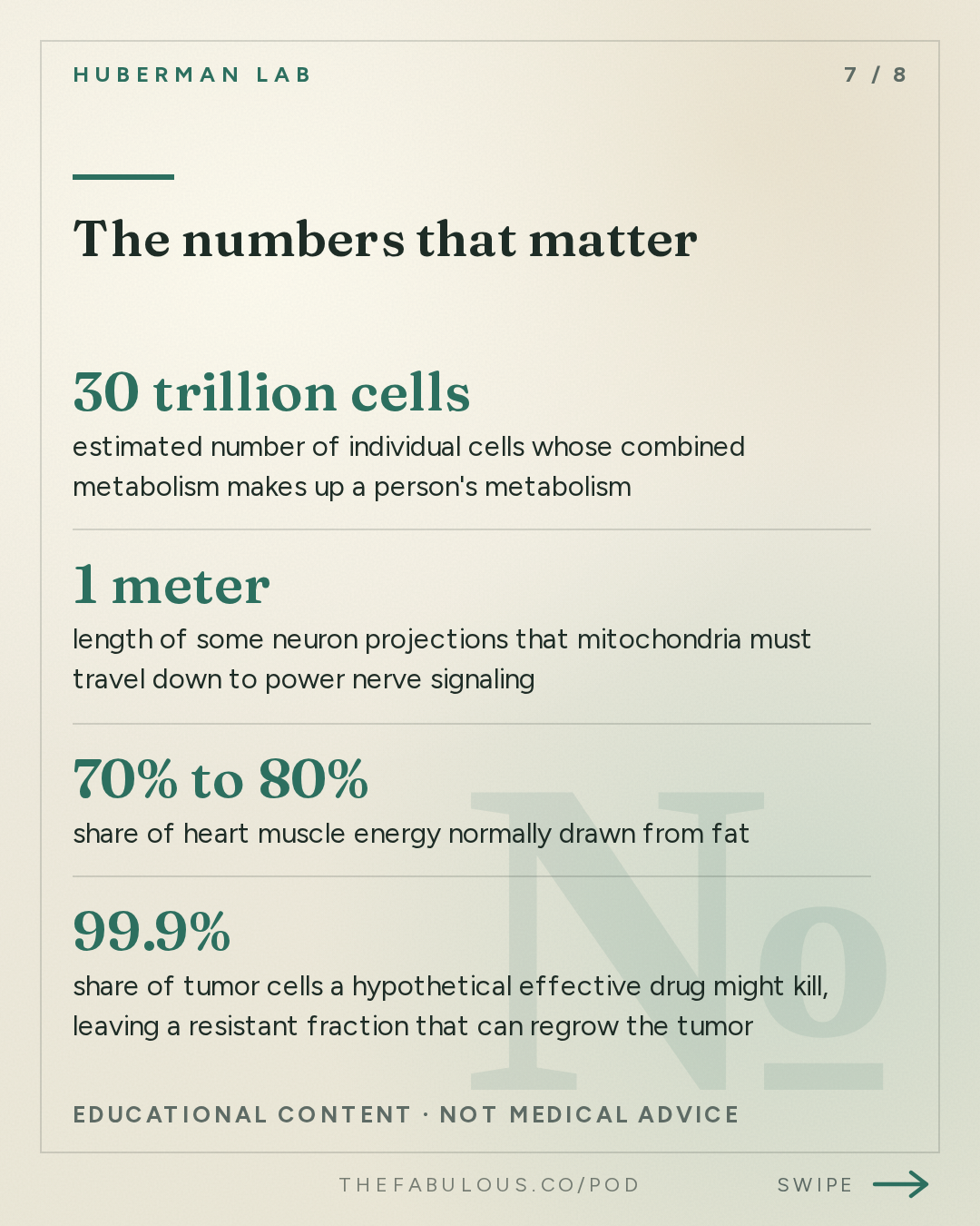 The numbers that matter — Huberman Lab: How Mitochondria Control Your Metabolism | Dr. Jared Rutter