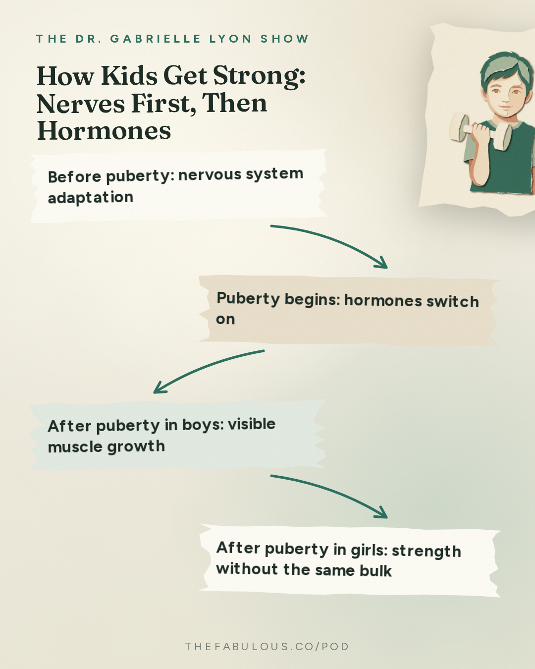 How Kids Get Strong: Nerves First, Then Hormones — The Dr. Gabrielle Lyon Show: How to Raise Strong Kids: Protein, Strength Training and Building Bone Before Adulthood