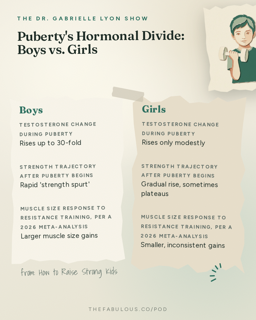 Puberty's Hormonal Divide: Boys vs. Girls — The Dr. Gabrielle Lyon Show: How to Raise Strong Kids: Protein, Strength Training and Building Bone Before Adulthood