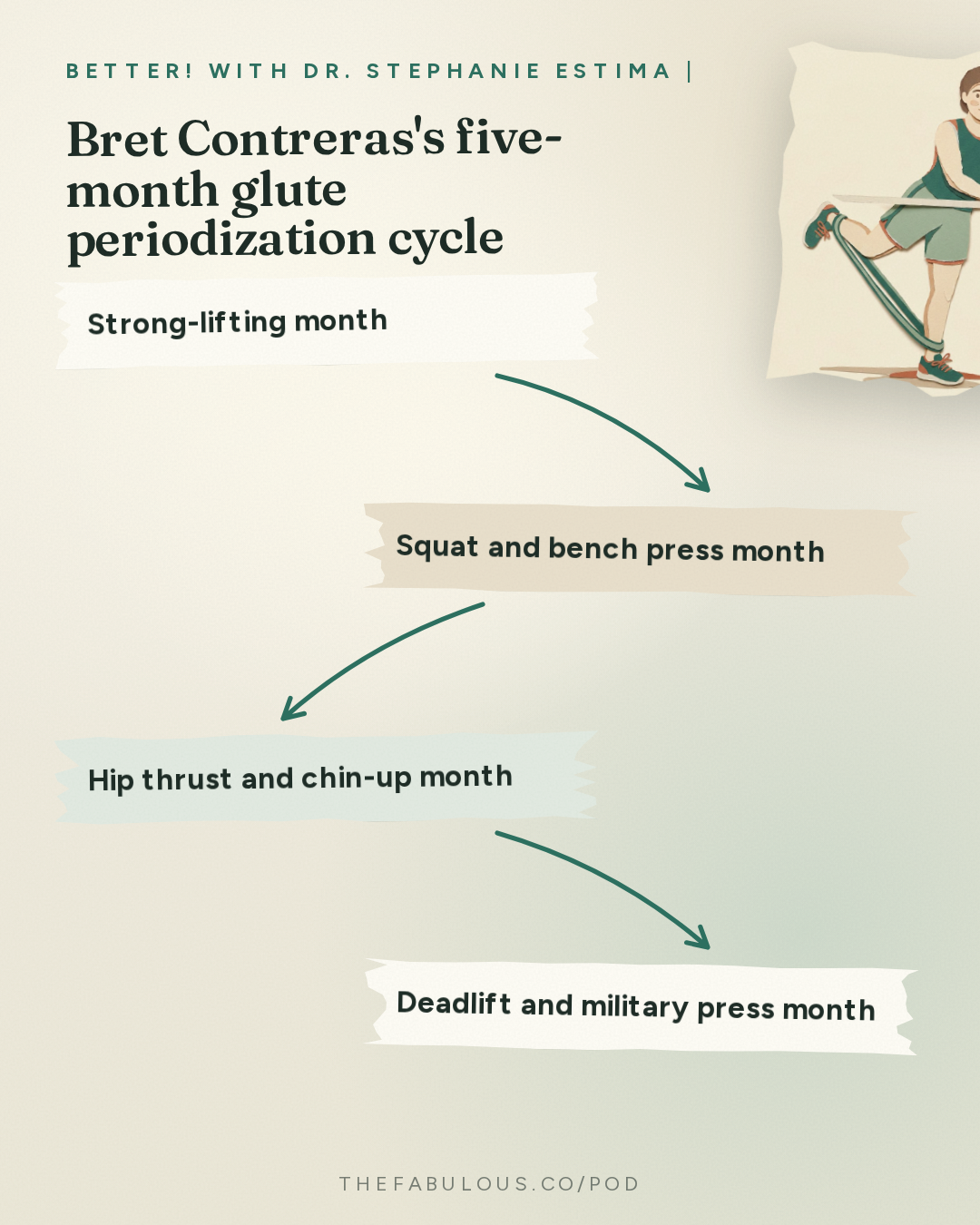 Bret Contreras's five-month glute periodization cycle — BETTER! with Dr. Stephanie Estima | Strength, Body Composition & Perimenopause: How To Build Round & Strong Glutes with Bret Contreras, PhD. aka the Glute Guy