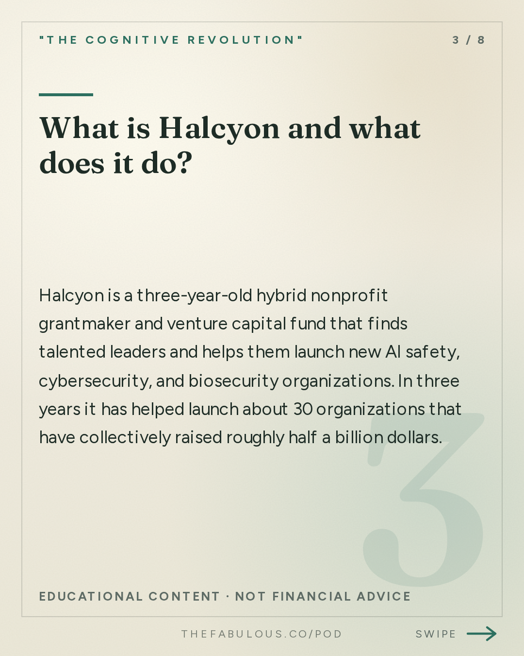 What is Halcyon and what does it do? — "The Cognitive Revolution" : Zero to One in AI Safety: Halcyon's Mike McCormick on Launching 30 New Orgs & the Founder Bottleneck