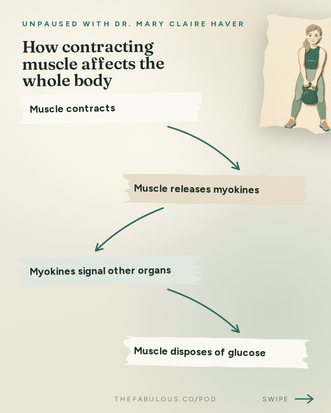 How contracting muscle affects the whole body — unPAUSED with Dr. Mary Claire Haver: Muscle is the Organ for Longevity with Dr. Gabrielle Lyon
