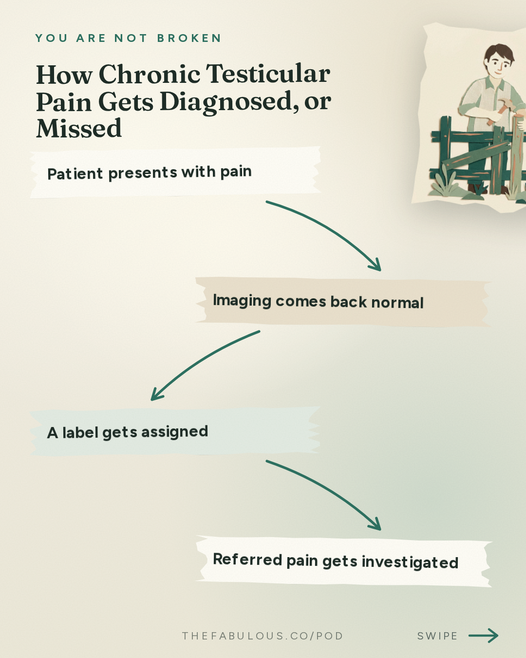 How Chronic Testicular Pain Gets Diagnosed, or Missed — You Are Not Broken: 394. Testicular Pain and Stage 4 Breast Cancer
