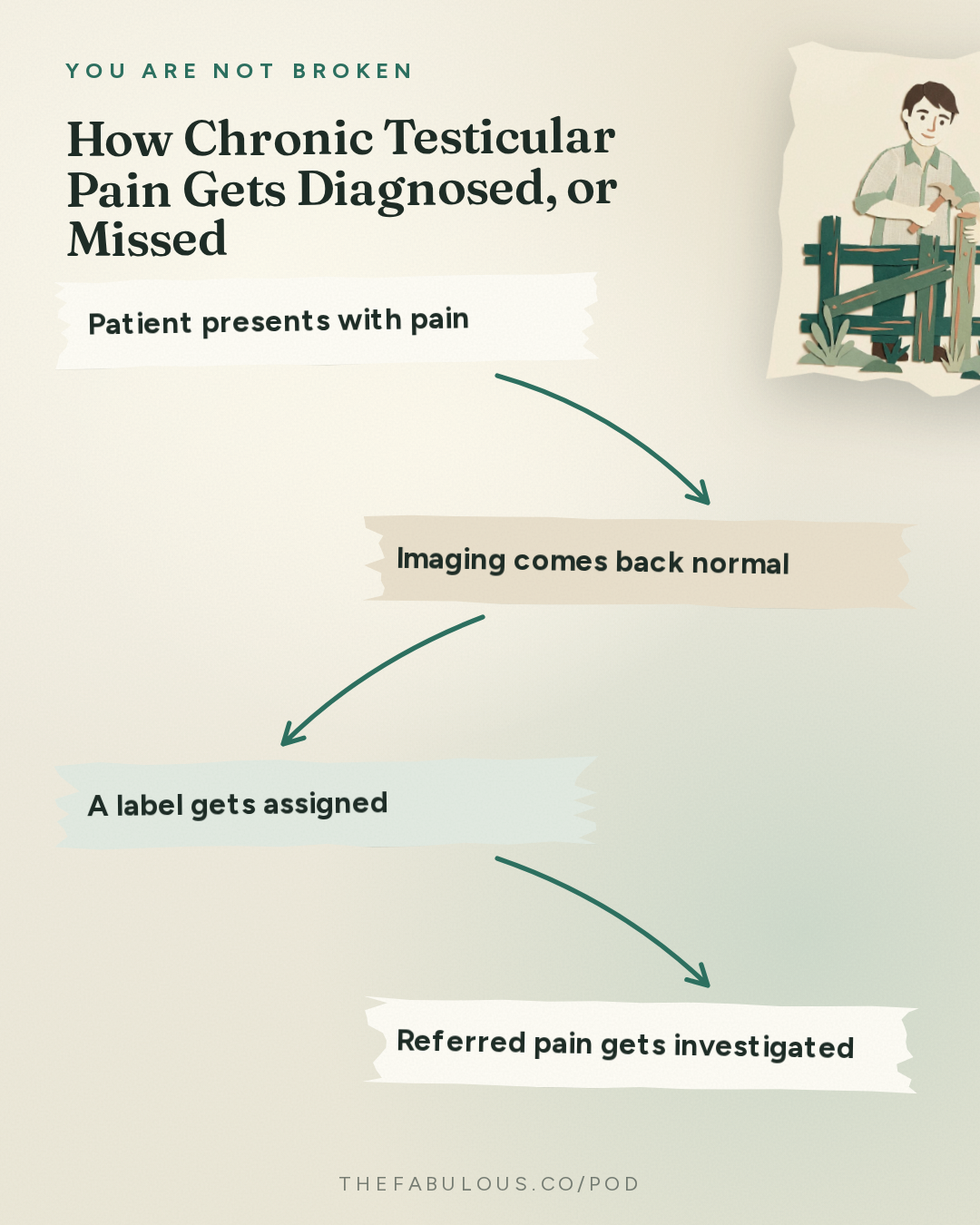 How Chronic Testicular Pain Gets Diagnosed, or Missed — You Are Not Broken: 394. Testicular Pain and Stage 4 Breast Cancer