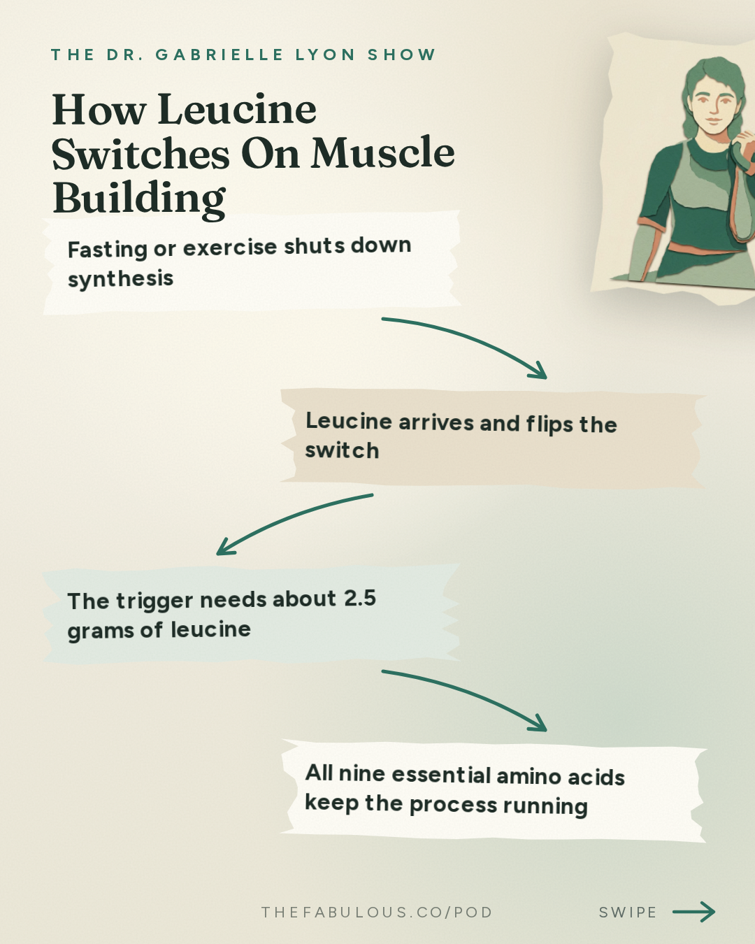 How Leucine Switches On Muscle Building — The Dr. Gabrielle Lyon Show: Essential Amino Acids Explained: Protein Quality, Leucine, BCAAs and How Much You Need
