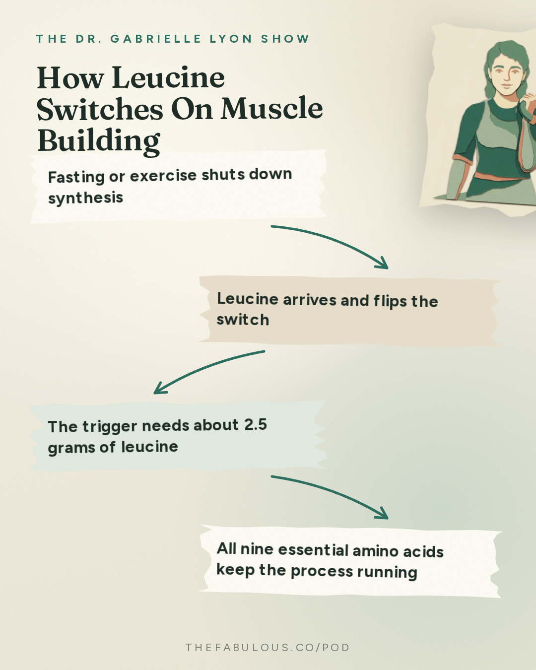 How Leucine Switches On Muscle Building — The Dr. Gabrielle Lyon Show: Essential Amino Acids Explained: Protein Quality, Leucine, BCAAs and How Much You Need