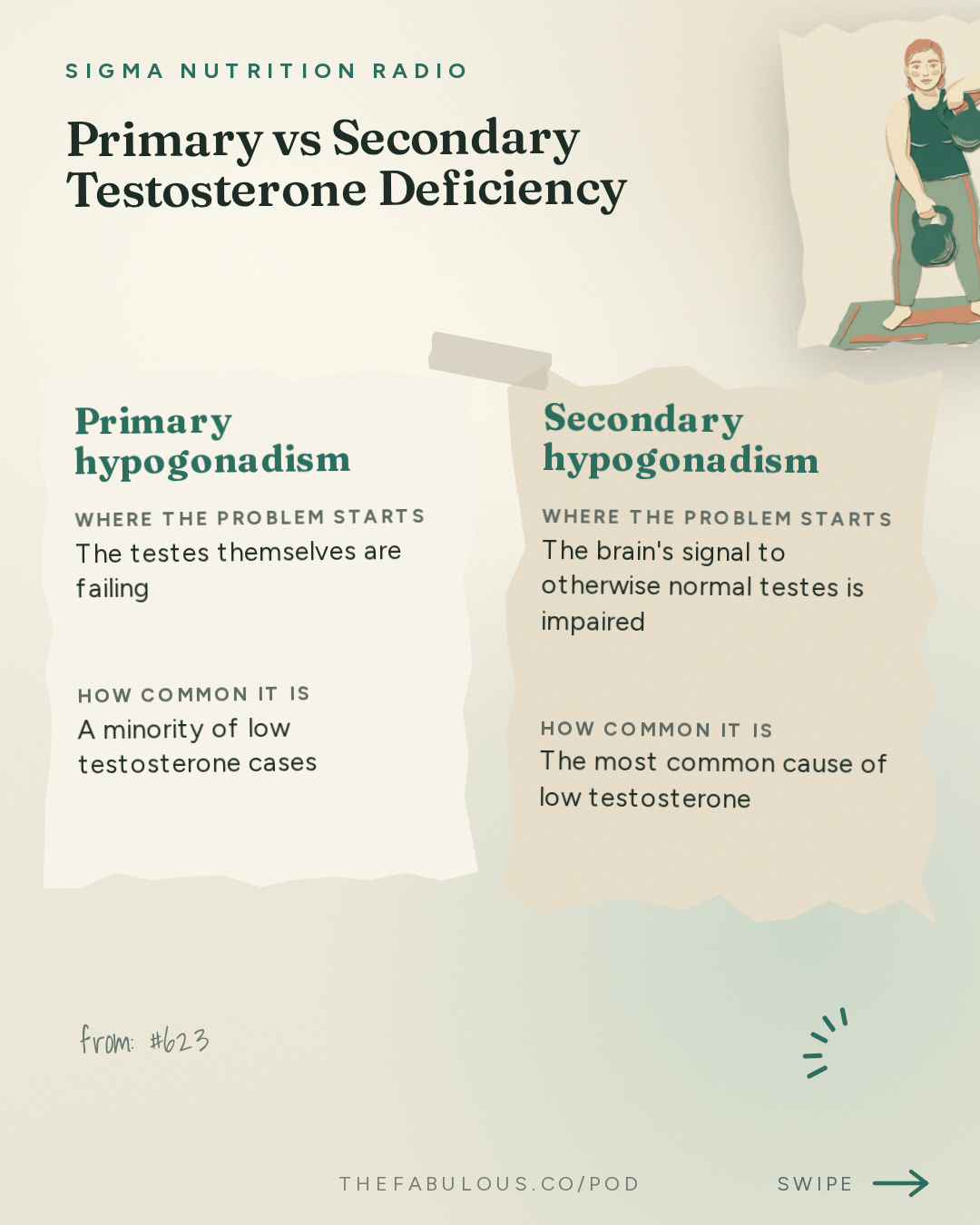 Primary vs Secondary Testosterone Deficiency — Sigma Nutrition Radio: #623: Testosterone Testing: What Do the Results Mean? When Does TRT Help? – Austin Baraki, MD