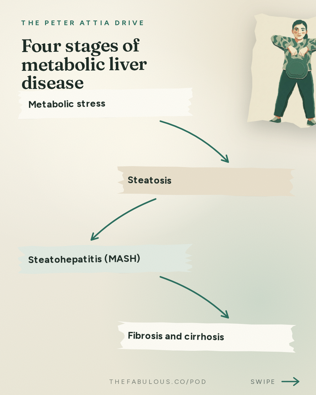 Four stages of metabolic liver disease — The Peter Attia Drive: #405 ‒ AMA #88: Metabolic liver health: how to assess risk, catch dysfunction early, and prevent or reverse liver disease