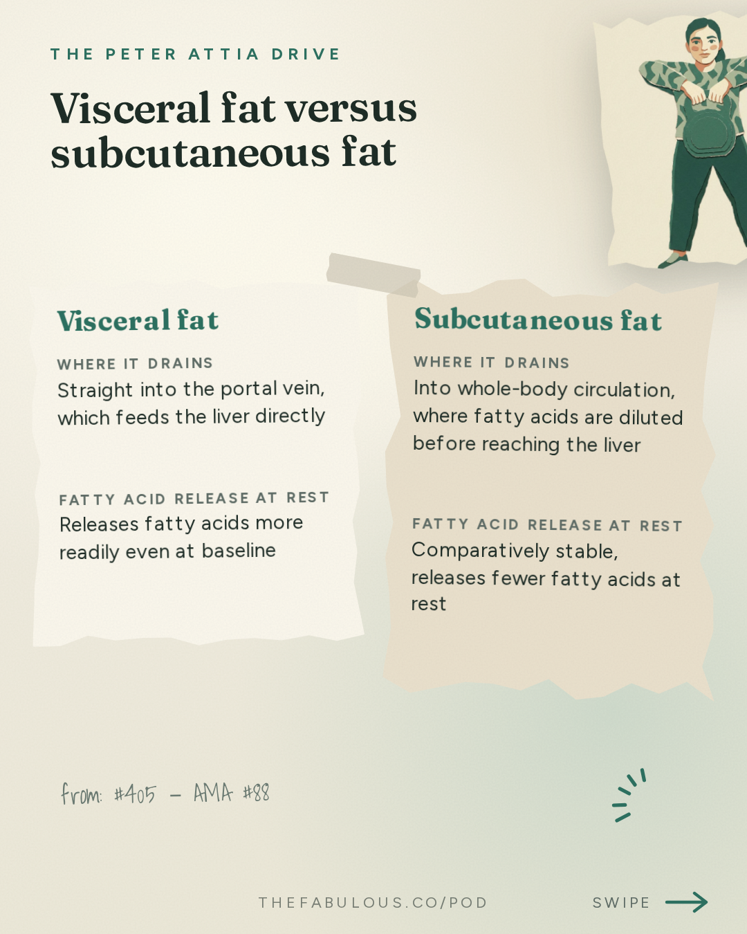 Visceral fat versus subcutaneous fat — The Peter Attia Drive: #405 ‒ AMA #88: Metabolic liver health: how to assess risk, catch dysfunction early, and prevent or reverse liver disease