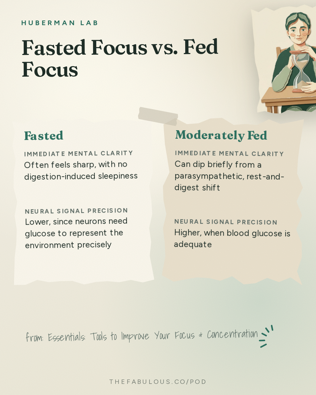 Fasted Focus vs. Fed Focus — Huberman Lab: Essentials: Tools to Improve Your Focus & Concentration