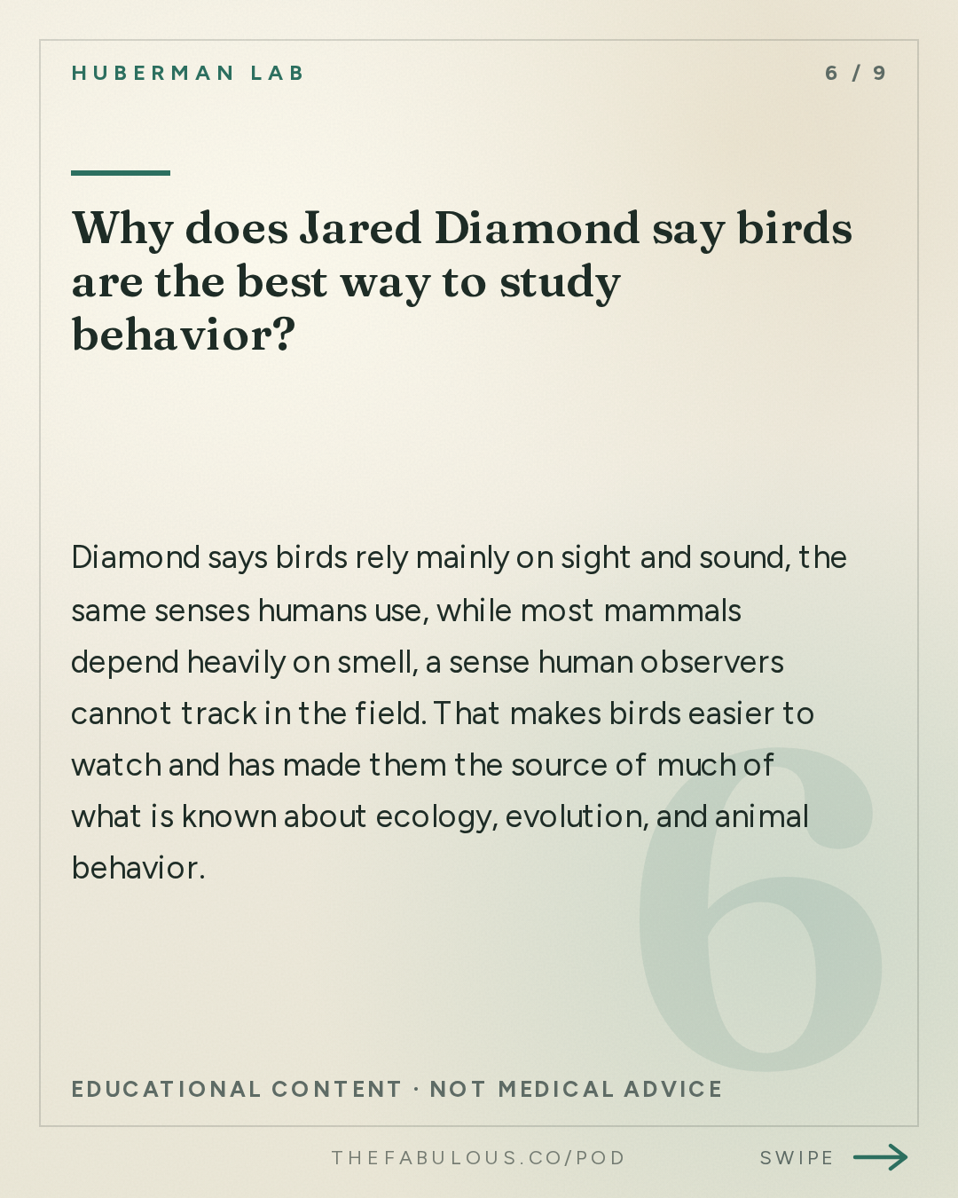 Why does Jared Diamond say birds are the best way to study behavior? — Huberman Lab: What Makes Great Leaders & How to Live an Extraordinary Life | Dr. Jared Diamond