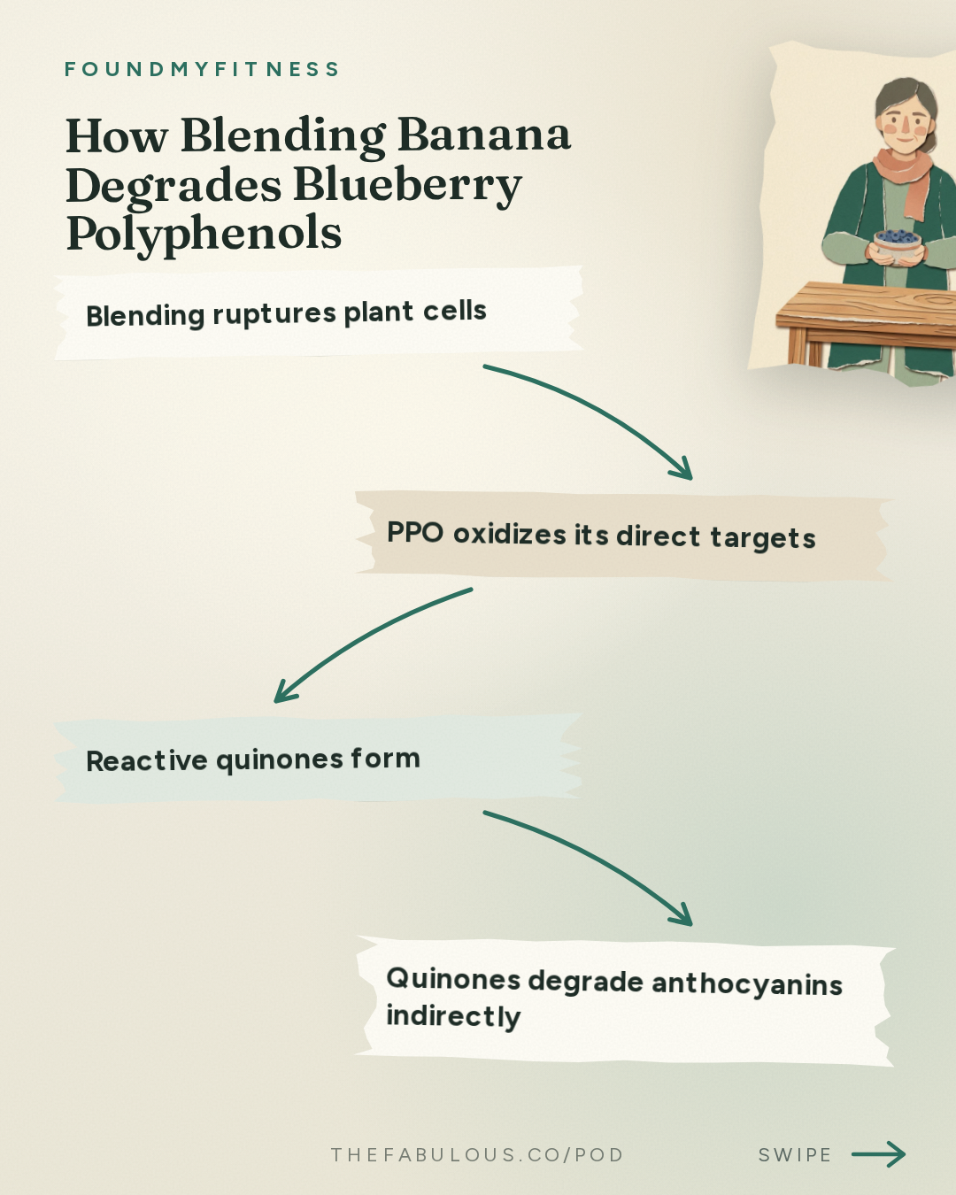 How Blending Banana Degrades Blueberry Polyphenols — FoundMyFitness: #115 The Science of Blueberries for Brain and Vascular Health