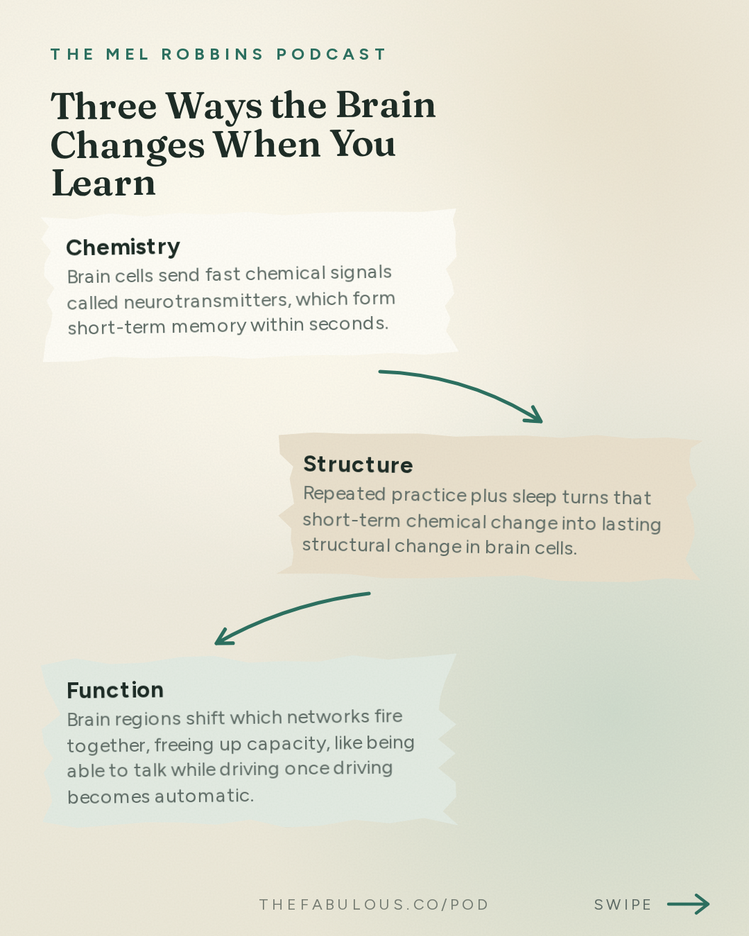 Three Ways the Brain Changes When You Learn — The Mel Robbins Podcast: #1 Neuroscientist: After Listening to This, Your Brain Will Not Be the Same