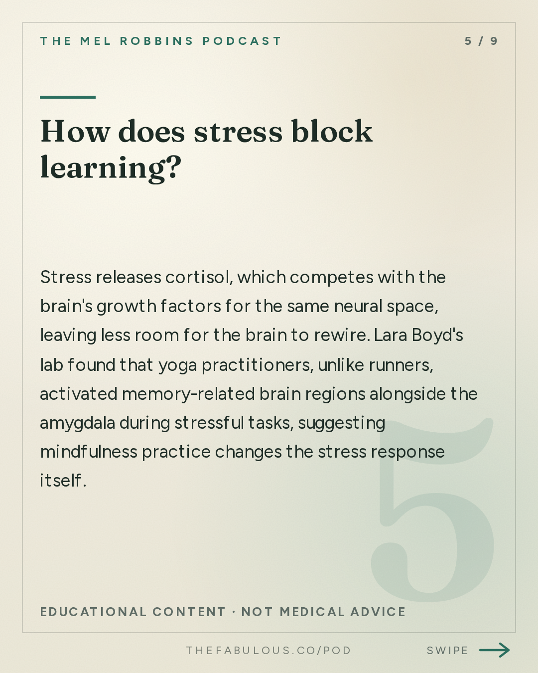 How does stress block learning? — The Mel Robbins Podcast: #1 Neuroscientist: After Listening to This, Your Brain Will Not Be the Same