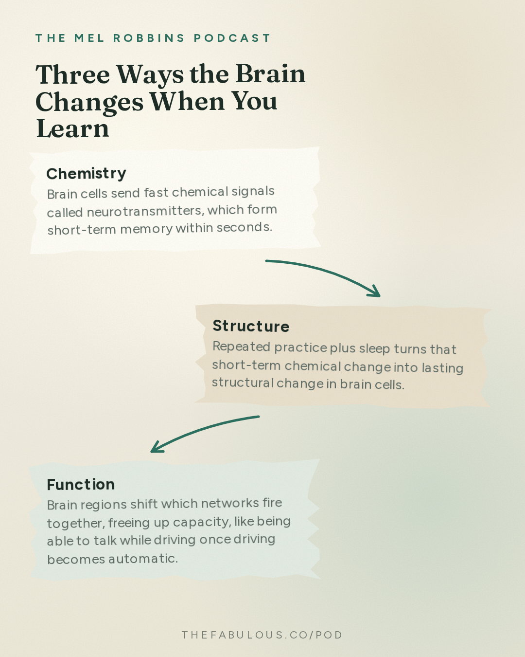 Three Ways the Brain Changes When You Learn — The Mel Robbins Podcast: #1 Neuroscientist: After Listening to This, Your Brain Will Not Be the Same