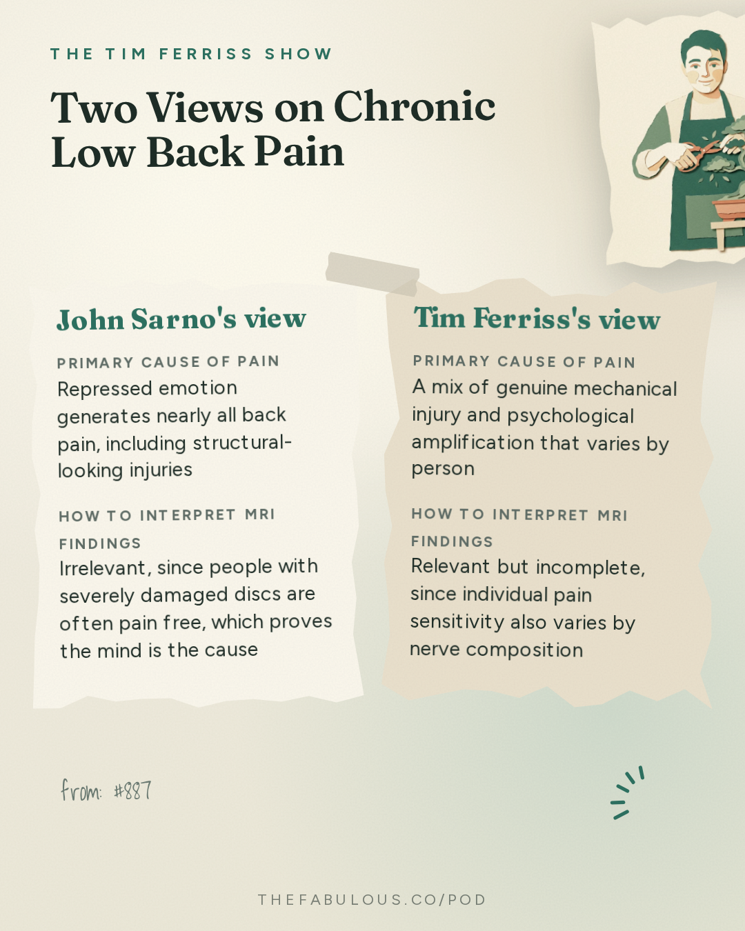 Two Views on Chronic Low Back Pain — The Tim Ferriss Show: #887: Q&A with Tim — The 4-Hour Workweek in a World of AI, Rebuilding Personal Agency, The 4-Hour Body After 40, and More