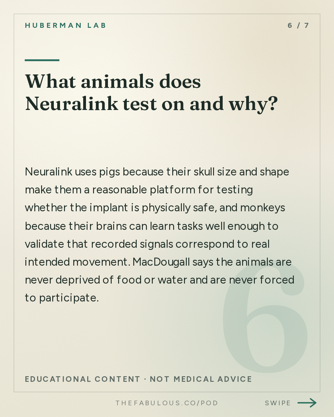 What animals does Neuralink test on and why? — Huberman Lab: Essentials: Neuralink & Technologies to Enhance Human Brains | Dr. Matt MacDougall