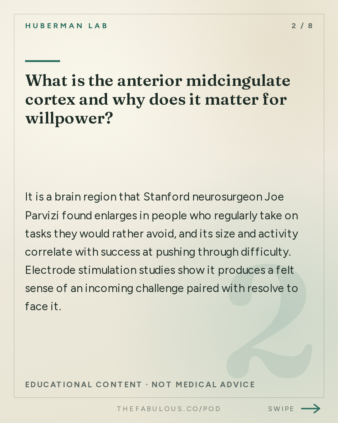 What is the anterior midcingulate cortex and why does it matter for willpower? — Huberman Lab: Unlocking Persistent Motivation & Extreme Resilience | Ross Edgley