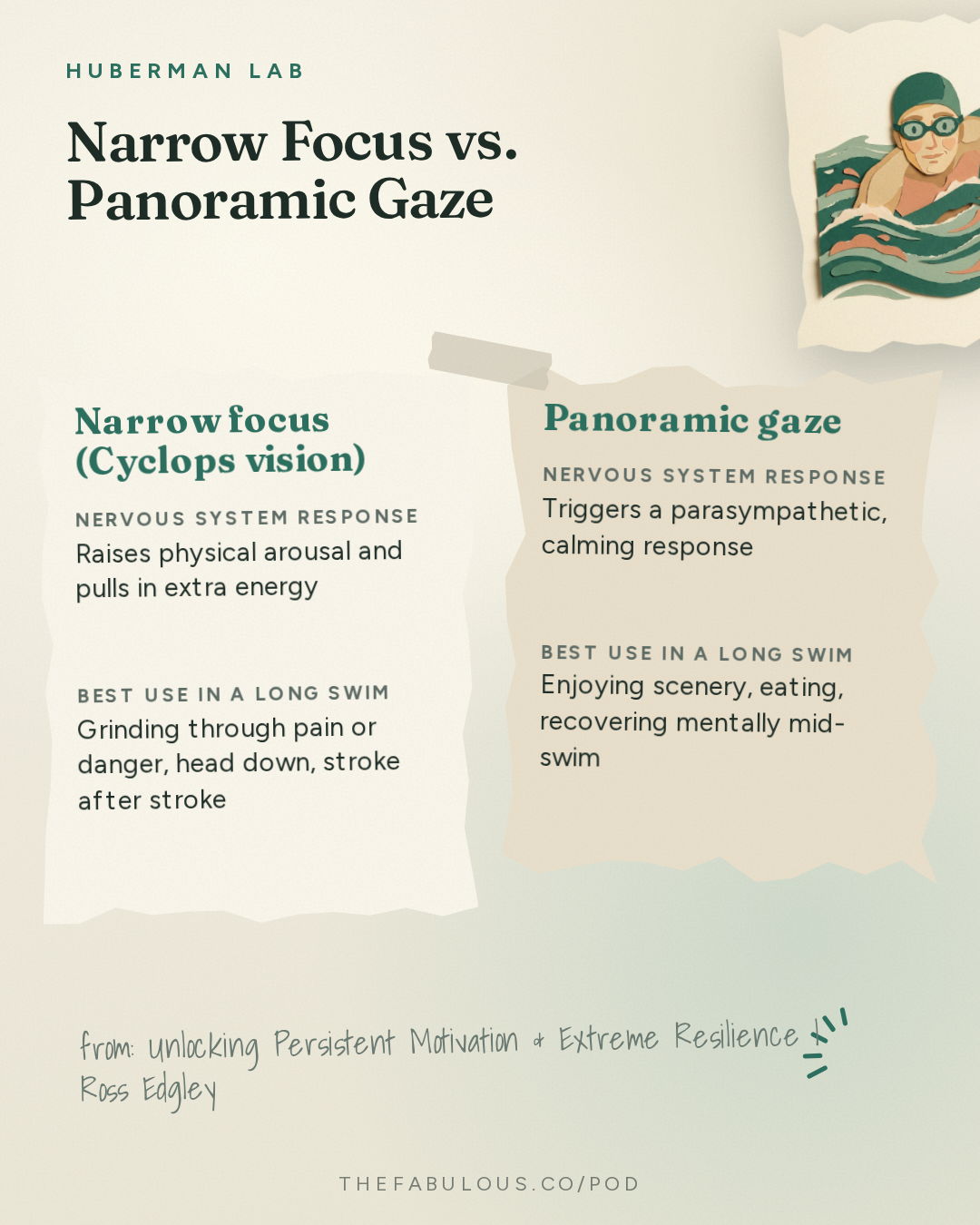 Narrow Focus vs. Panoramic Gaze — Huberman Lab: Unlocking Persistent Motivation & Extreme Resilience | Ross Edgley