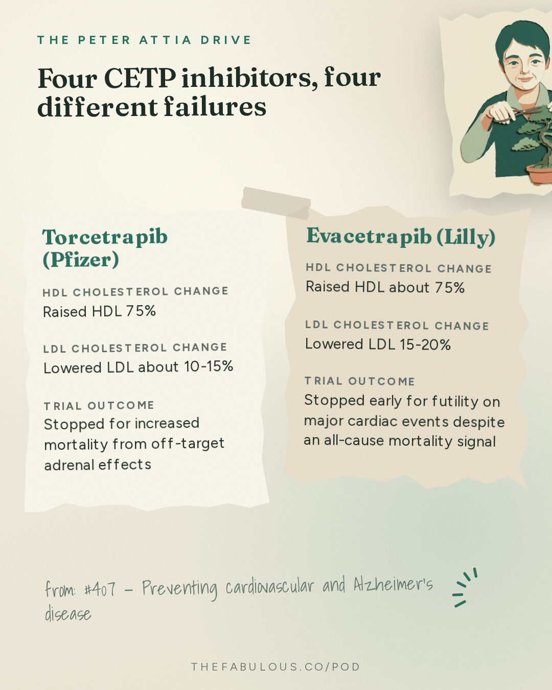 Four CETP inhibitors, four different failures — The Peter Attia Drive: #407 ‒ Preventing cardiovascular and Alzheimer's disease: lowering LDL early, APOE4, and promising new therapies | Michael Davidson, M.D.