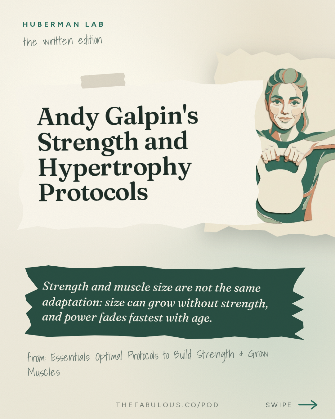 Andy Galpin's Strength and Hypertrophy Protocols — Huberman Lab: Essentials: Optimal Protocols to Build Strength & Grow Muscles | Dr. Andy Galpin