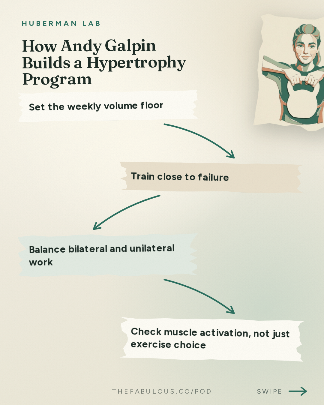 How Andy Galpin Builds a Hypertrophy Program — Huberman Lab: Essentials: Optimal Protocols to Build Strength & Grow Muscles | Dr. Andy Galpin