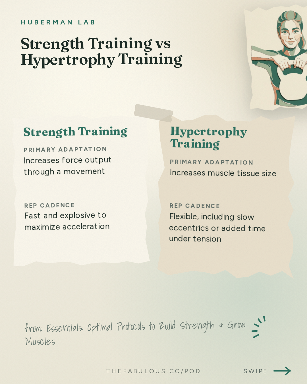 Strength Training vs Hypertrophy Training — Huberman Lab: Essentials: Optimal Protocols to Build Strength & Grow Muscles | Dr. Andy Galpin