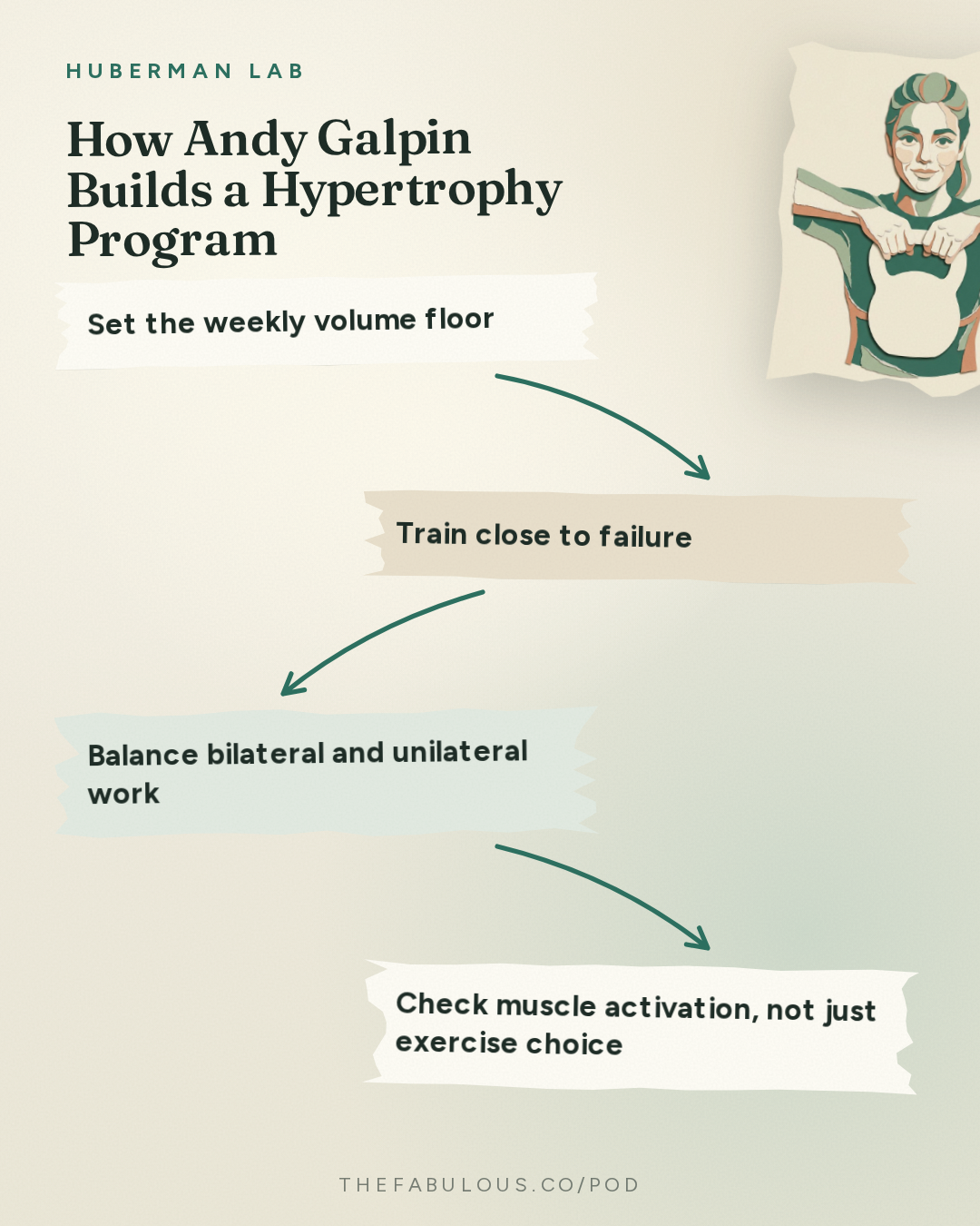 How Andy Galpin Builds a Hypertrophy Program — Huberman Lab: Essentials: Optimal Protocols to Build Strength & Grow Muscles | Dr. Andy Galpin