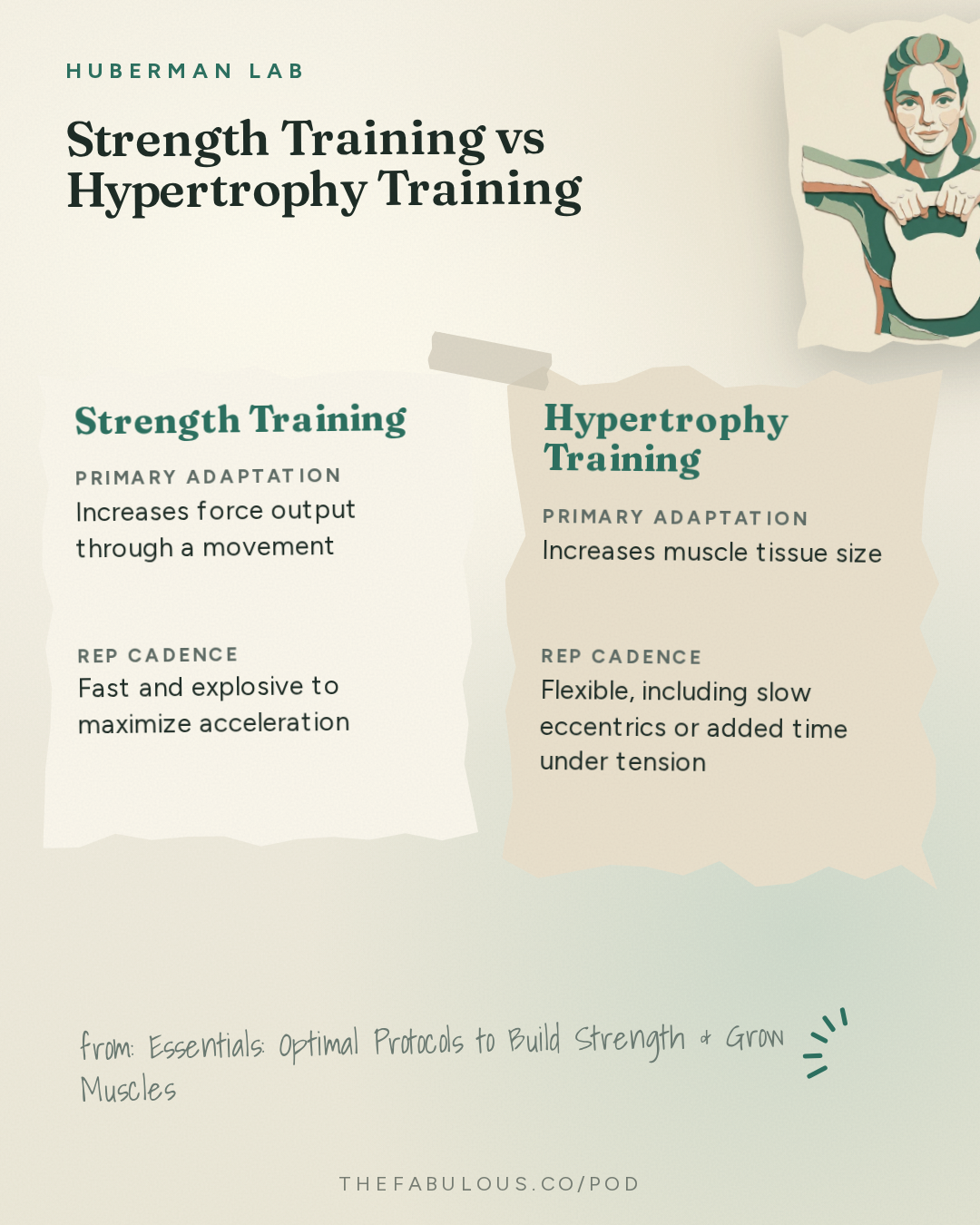 Strength Training vs Hypertrophy Training — Huberman Lab: Essentials: Optimal Protocols to Build Strength & Grow Muscles | Dr. Andy Galpin