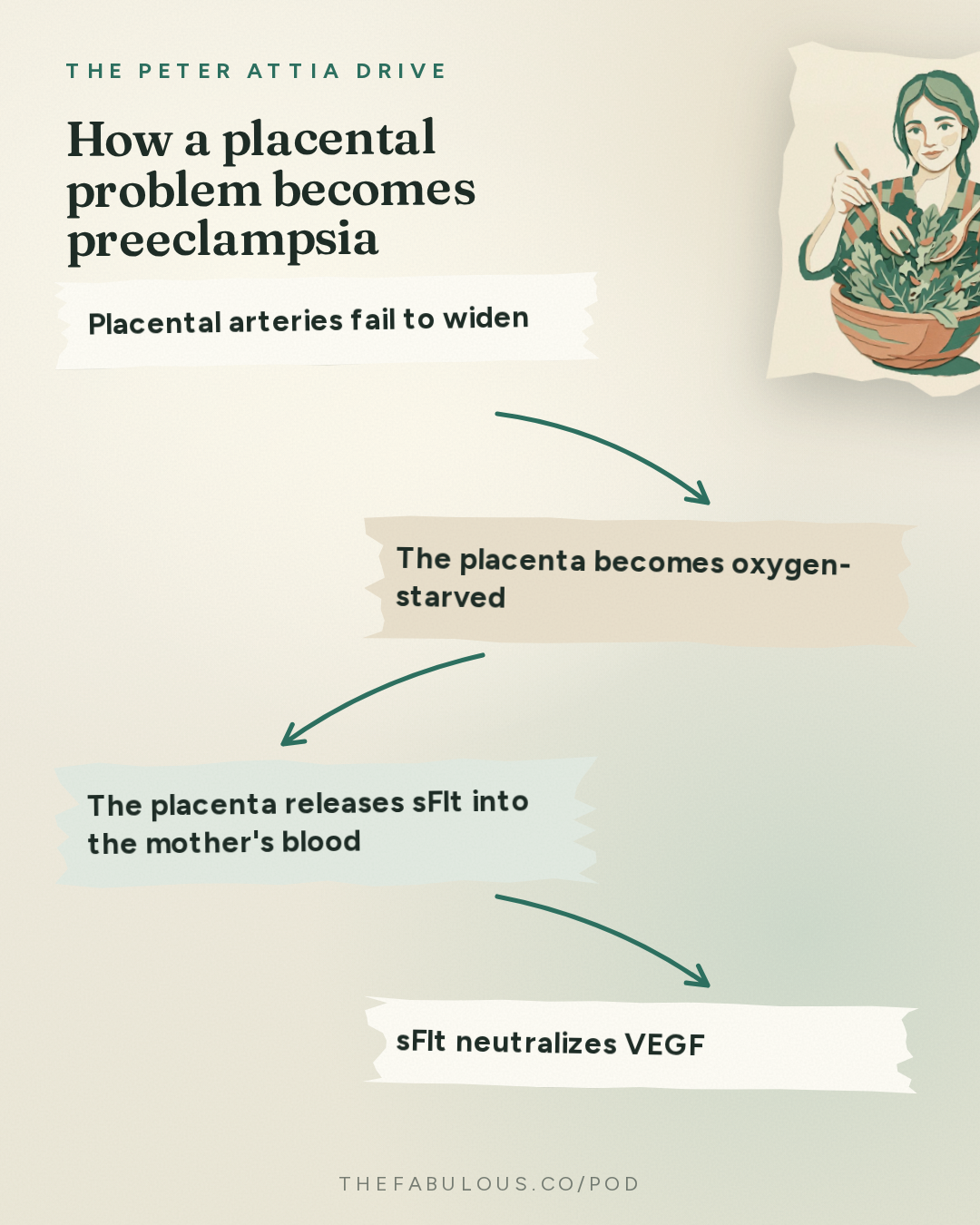 How a placental problem becomes preeclampsia — The Peter Attia Drive: #410 ‒ The biology of pregnancy: physiologic adaptation, gestational diabetes, preeclampsia, childbirth, and long-term maternal health | Kathryn Gray, M.D., Ph.D.