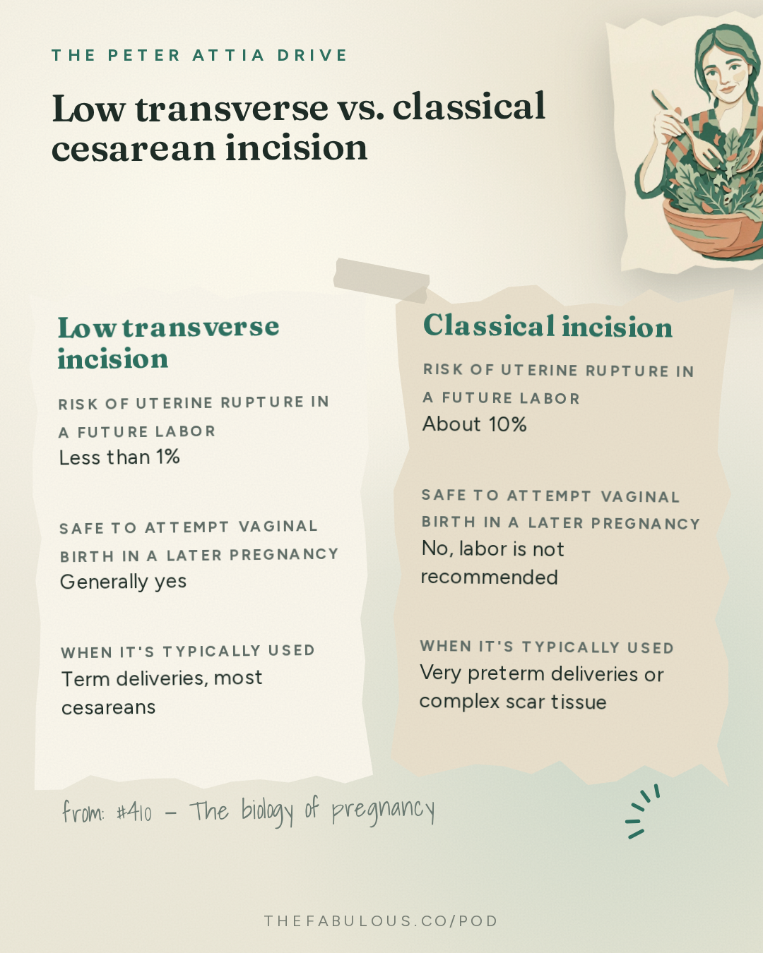 Low transverse vs. classical cesarean incision — The Peter Attia Drive: #410 ‒ The biology of pregnancy: physiologic adaptation, gestational diabetes, preeclampsia, childbirth, and long-term maternal health | Kathryn Gray, M.D., Ph.D.