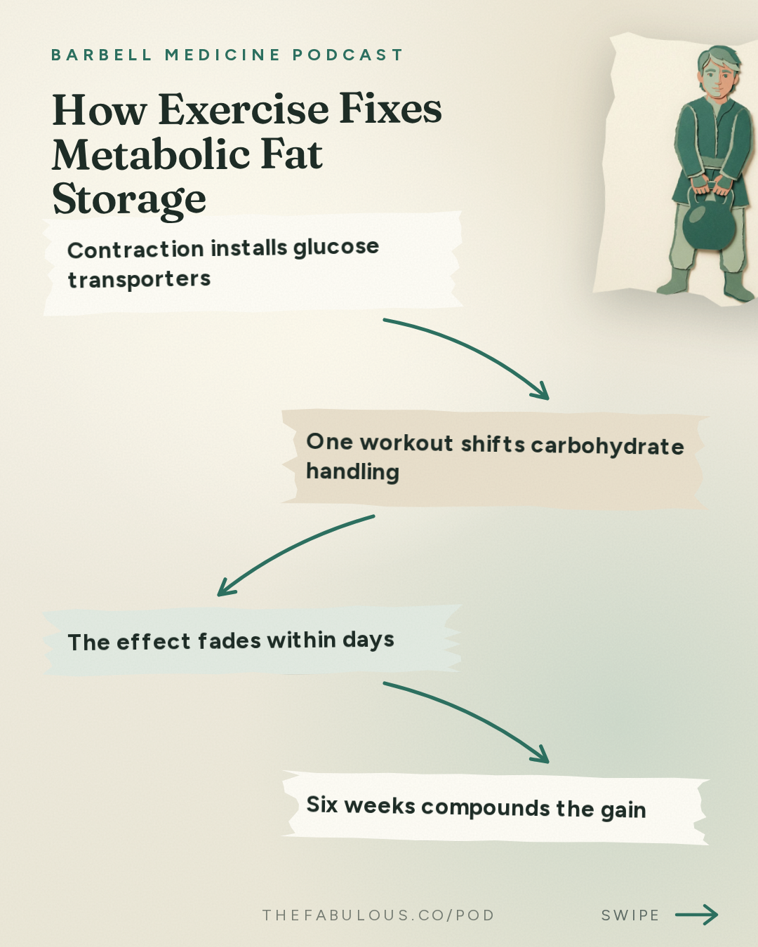 How Exercise Fixes Metabolic Fat Storage — Barbell Medicine Podcast: Is Obesity A Muscle Problem?