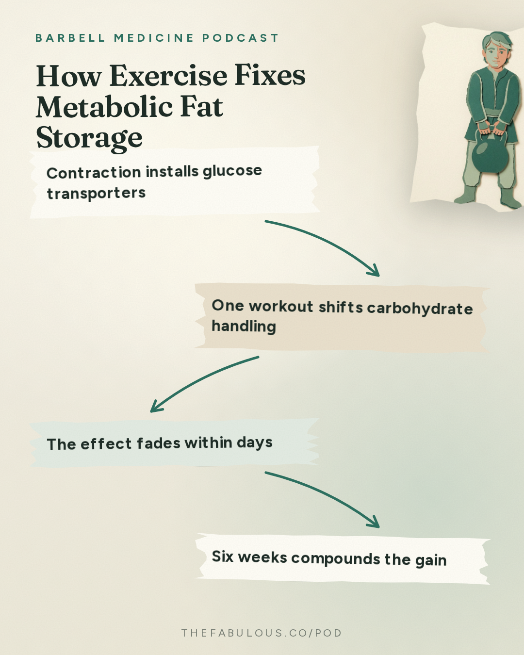 How Exercise Fixes Metabolic Fat Storage — Barbell Medicine Podcast: Is Obesity A Muscle Problem?